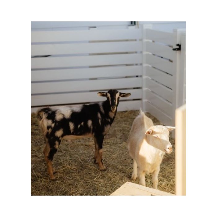 4' Tall Horizontal 7-Rail Semi-Private Fence